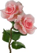 Приворот на розу и жасмин 1047217099
